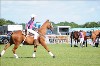 UKPA NC SAT_2288
